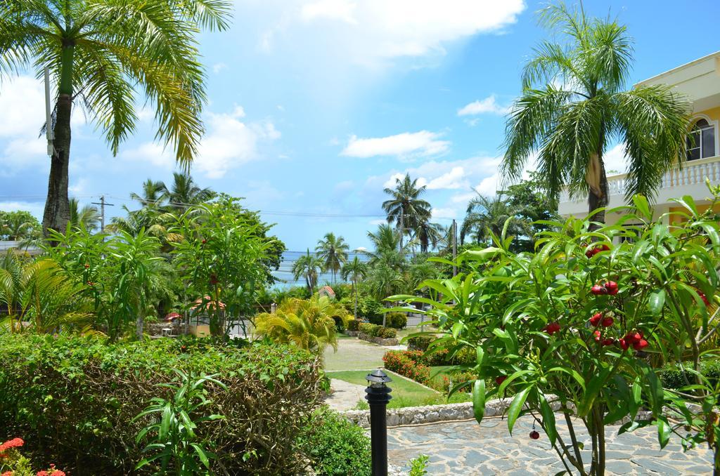 Las Palmeras Riki R Boca Chica Bagian luar foto